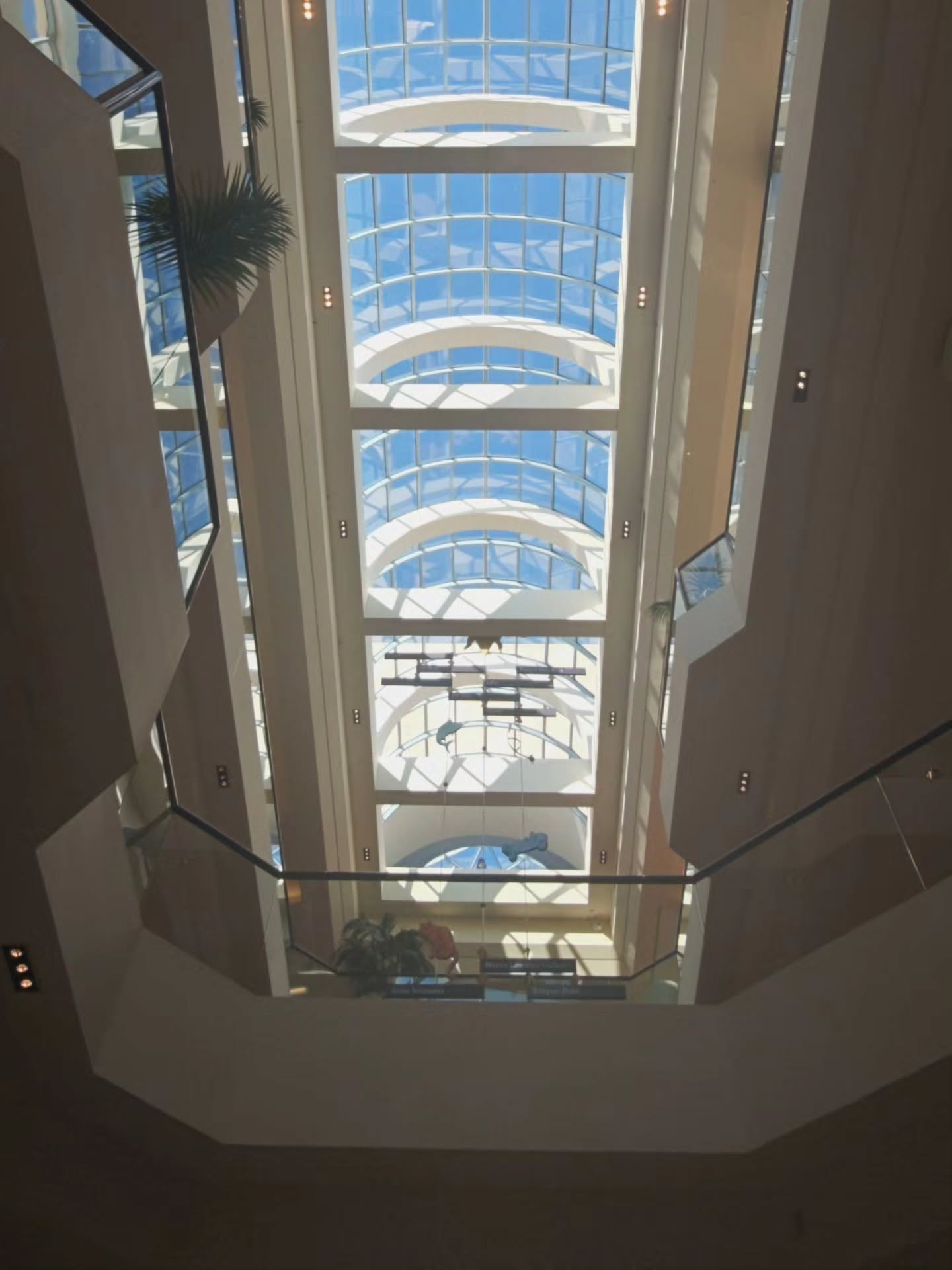Mall