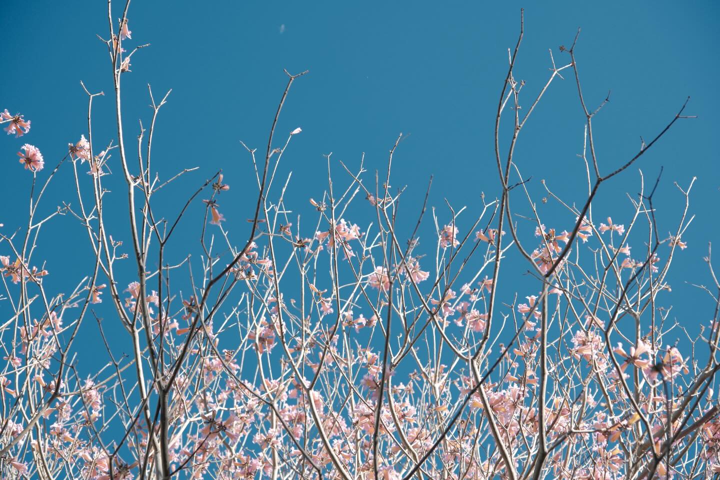 #photography #fujifilm #uci #irvine