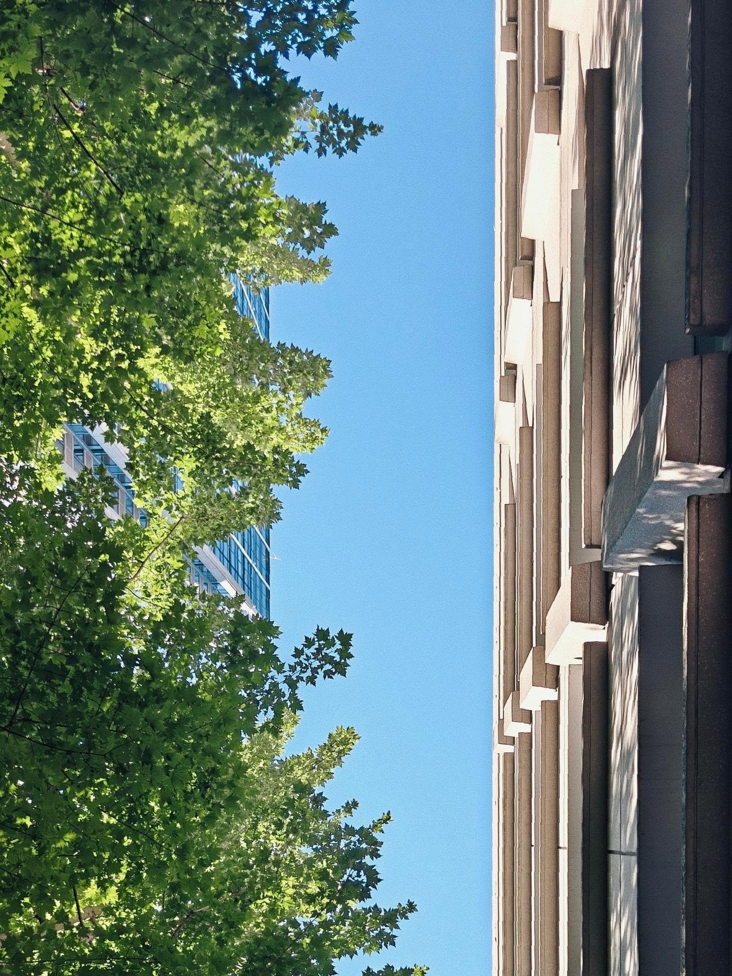 #photography #oneplus13 #seattle